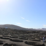 Weingebiet La Geria Lanzarote