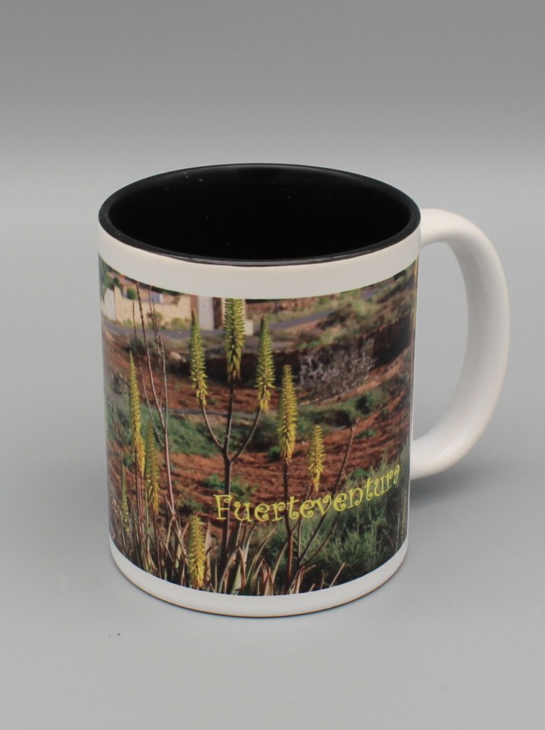 TAFU1 Tasse Fuerteventura 1 LLanos