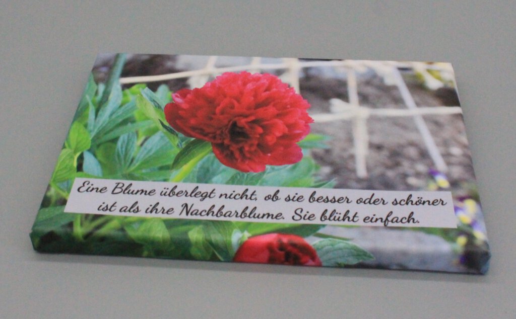 LESP1 LESP1 Leinwandbild Spruch 1 Nachbarblume Pfingstrose