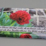 LESP1 LESP1 Leinwandbild Spruch 1 Nachbarblume Pfingstrose