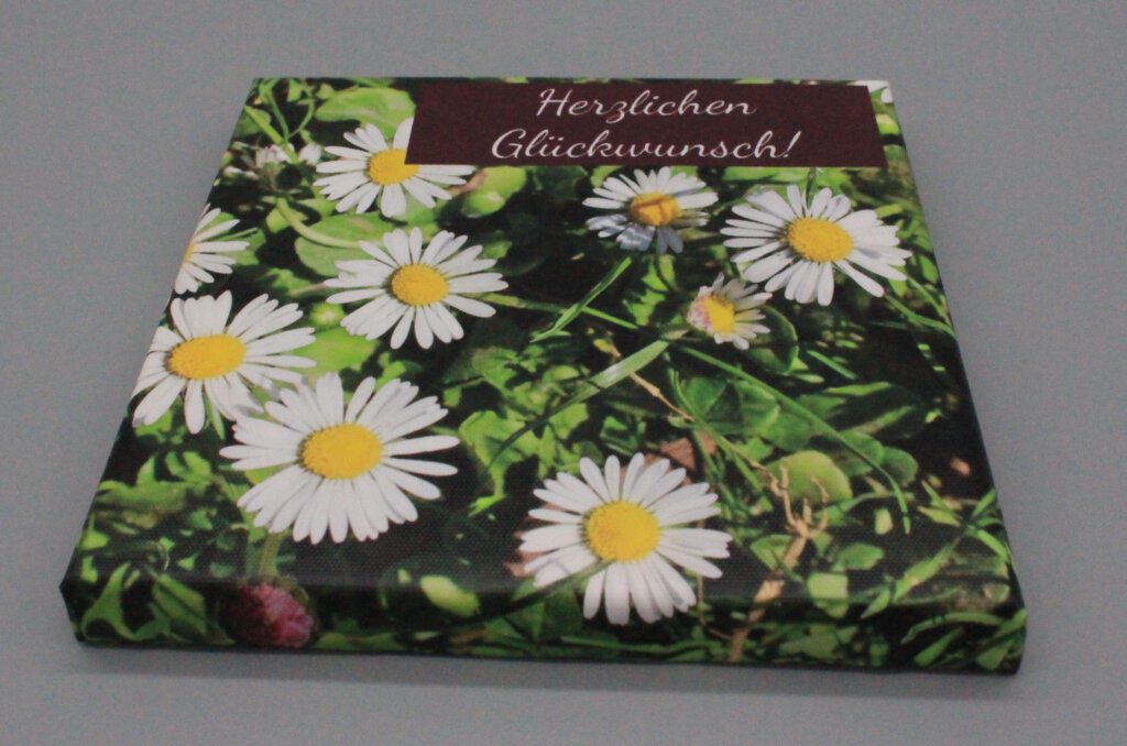 Leinwandbild Herzlichen Glückwunsch 1 Gänseblümchen
