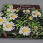 Leinwandbild Herzlichen Glückwunsch 1 Gänseblümchen